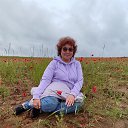  , -, 61  -  28  2025    