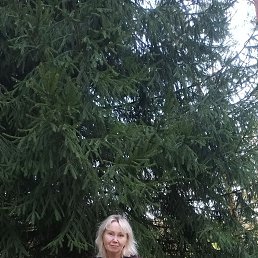 , 61, 