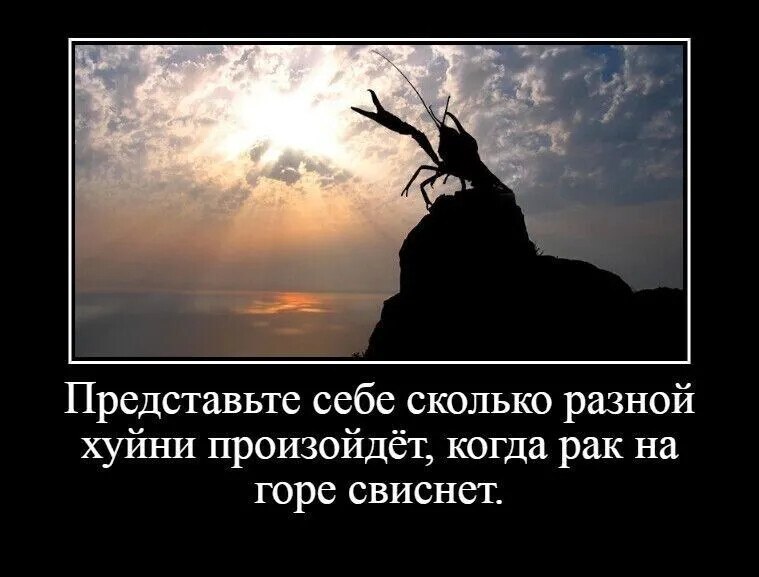Vladimir Volkov - 30  2025  22:12