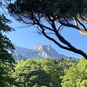 ���� �����, �����������, 67 ��� - ��������� 23 ���� 2025 � ������ ���� ����������