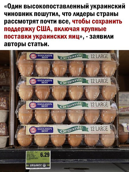 �������� - 10 ����� 2025 � 17:42 - 3