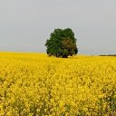 ���� �������, ������, 33 ���� - ��������� 26 �������� 2024 � ������ ���� ����������