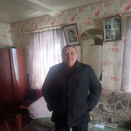  , 46, 