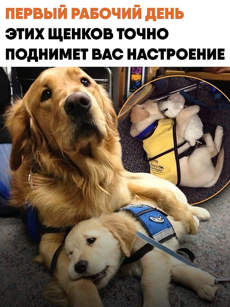 ���� ��������� ������ ���������� � ������ ������� �����. ������� ����������� ��� ����������� ������� ...