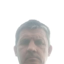 , 49, 
