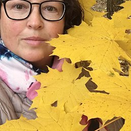 ����, ������ ��������