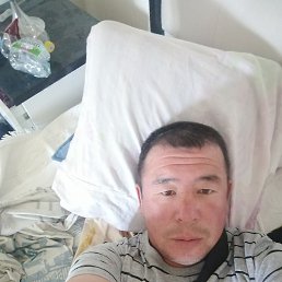 , 40, 