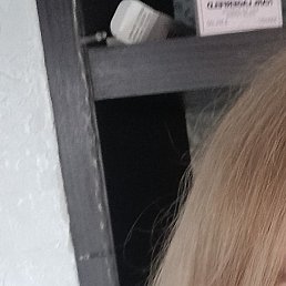 ������, ����, 40 ���