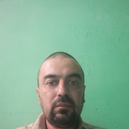 Haci, 44, 