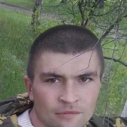 , 33, 