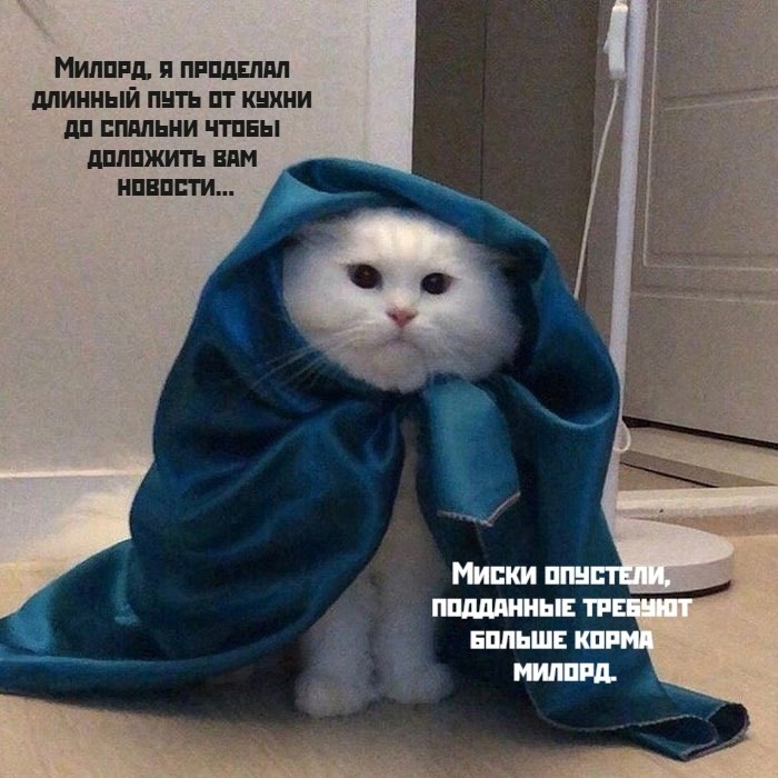       - 4  2025  09:56