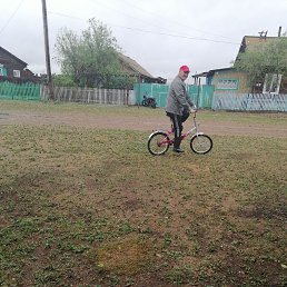 , 55, 