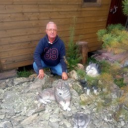 ���� ������, ���������, 57 ��� - ��������� 7 ������� 2026