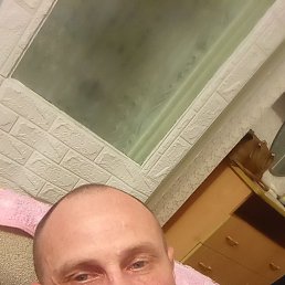 ���� ������, ����������, 42 ���� - ��������� 1 ������ 2026