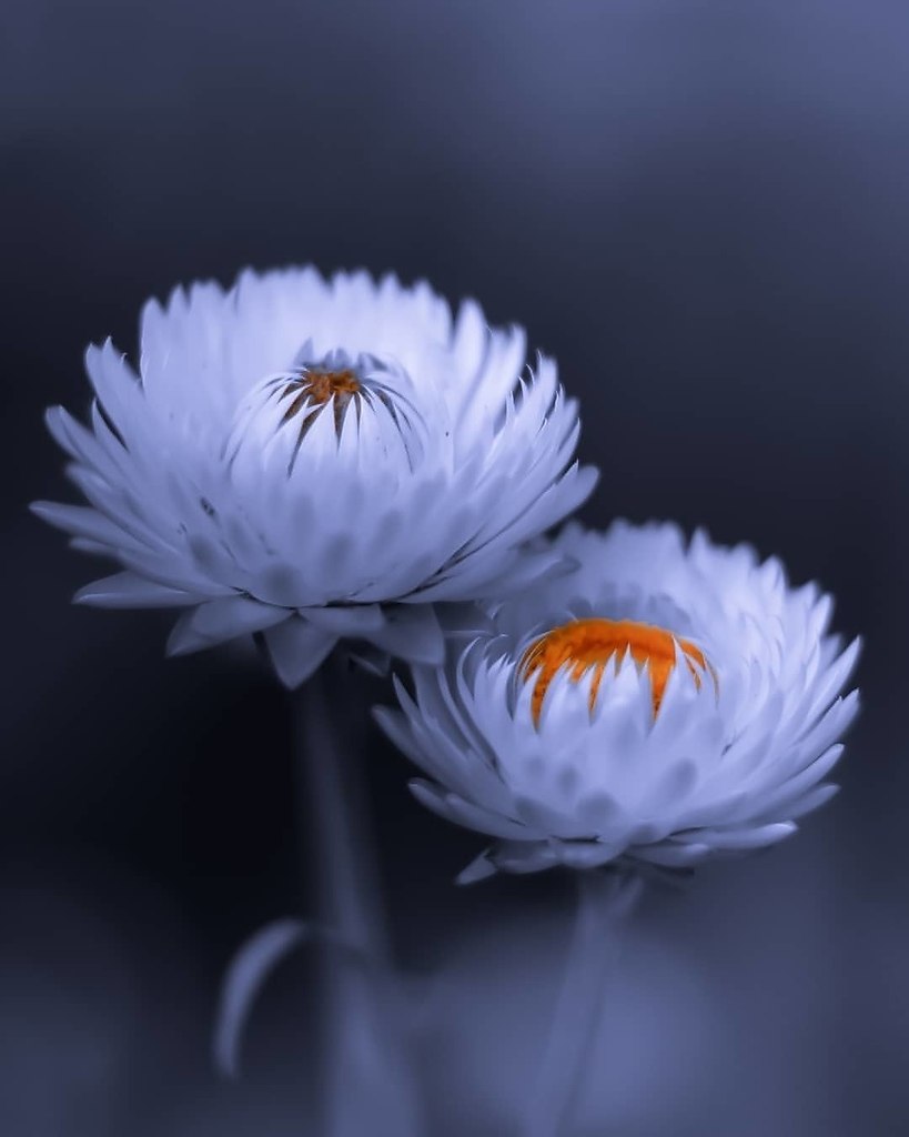 ��������� �� ����� � ������ ������ ���� �� ������������. � ������ ������� - 3