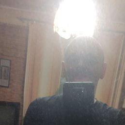 Rajgard, ������, 40 ���