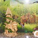 ���� ����, ������ - ��������� 13 ������� 2024 � ������ ���� ����������