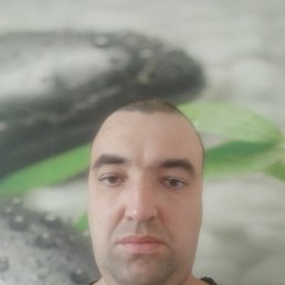 , 37 , 