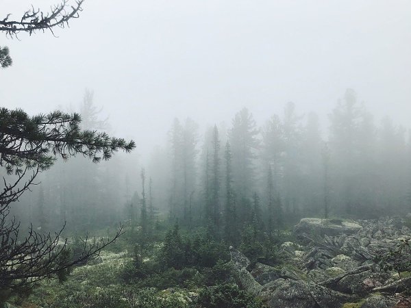 Туманное Кутурчинское Белогорье. Фото: Таня Кибан Поделиться новостью: vk.cc/cAf8Kc ... - 4