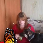 , 48 , 
