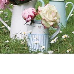 �������, ����, 58 ���