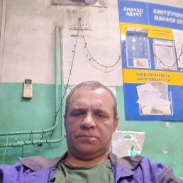 , 51,  