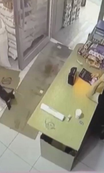 ce o coo opoo pec ppa:  p o eaeo c opo  aa ...