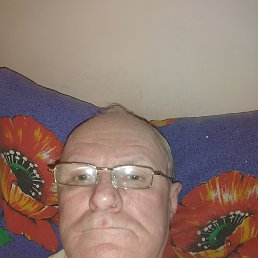 , 65 , 