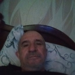 �����, 56 ���, ���������