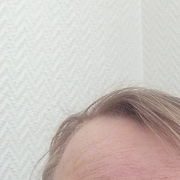 ����, ������, 40 ���