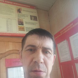 , 42, 