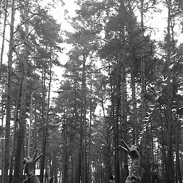 ����, ������������, 22 ����