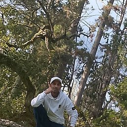 , 47, 