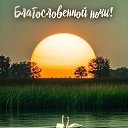 ���� �����223, ��������� - ��������� 1 �������� 2025 � ������ ������ ��������