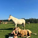 ���� ���, ������, 18 ��� - ��������� 15 ��� 2026 � ������ ���� ����������