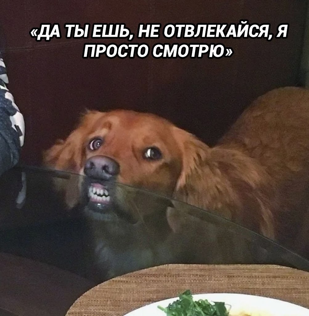  - 9  2025  13:34