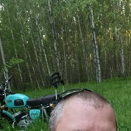 , 35, 