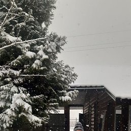 �����, ������, 66 ���