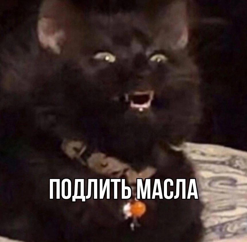  - 3  2025  11:56 - 3