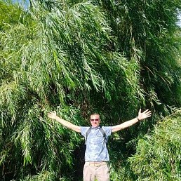 �����, �����, 48 ���