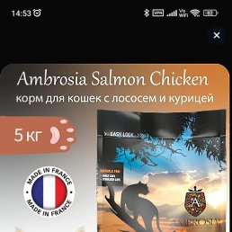 ����, ������, 35 ���