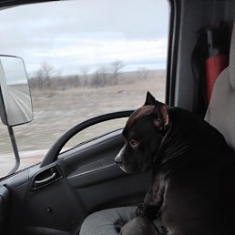 ���� ������, ������, 42 ���� - ��������� 30 ������ 2023