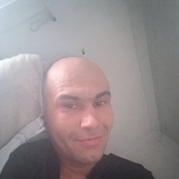 , 40, 