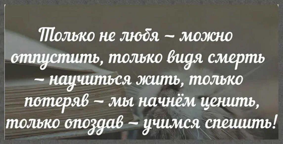 ☆ ☆ - 28  2025  04:33