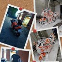 ���� ��������, ������, 40 ��� - ��������� 9 ������ 2026