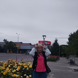 , 65, 
