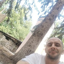  , 37, 