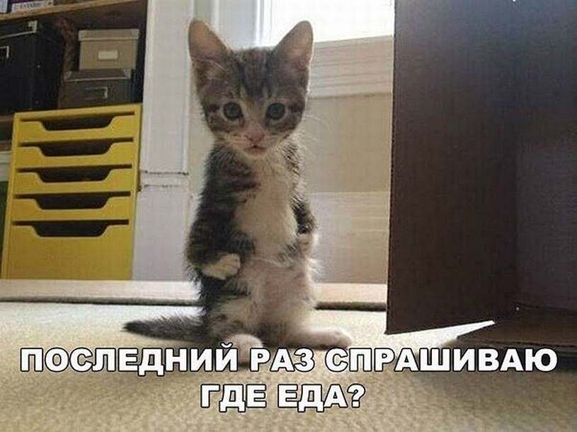 ? ,  ! - 6  2025  12:31