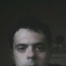 , 36, 