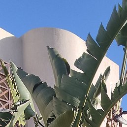 Olga, ���������, 39 ���